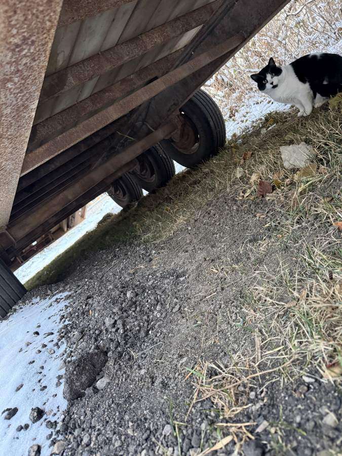 2009 Trailtech H370 24' + Beavertail Flat Deck Trailer