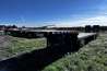 2026 Behnke 8'6" x 53' Step Deck Trailer